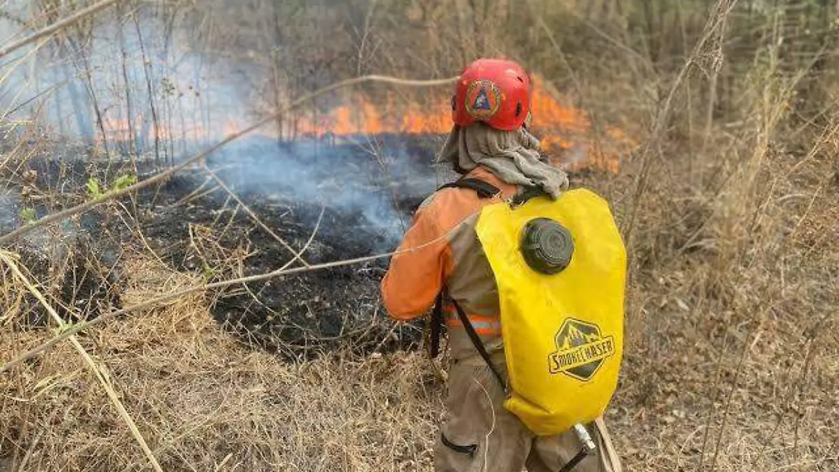 incendios forestales2